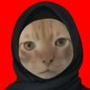 asep_gogle