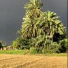 masoomwaziristan0