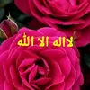 user36731106555923