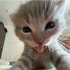 no_name23253