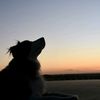 curtishooker_338