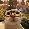 _catwan_1