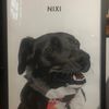 custom.pet.portraits0