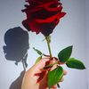 .songl7
