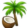fobtheislander