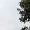 abnn248