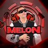 melon31587