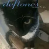 benvkvz