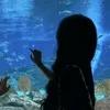 lydina_xxx7