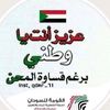 amna.awad01