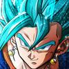 vegito7370