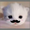 thuy.meanm18