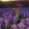 maincrafter_10183