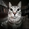 bratishka_53
