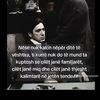 eksperti7