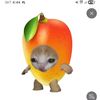 ron17093