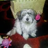 rosanne.rix