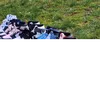asdasd2016