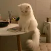 .i0y_3
