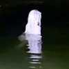00www002