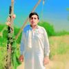 malik.kazim.bheen