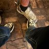 dlong598