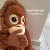 fllycqlh_