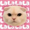 slsinytlizzh