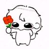 gheu__123dijj
