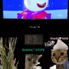 pazu_world10