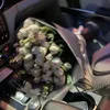 zaina_745