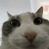 username546378940
