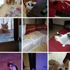 anna.alonzi42