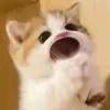 nhi_nguyen_46