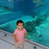 mahmoud.rouf
