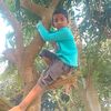 habil.vai.2024