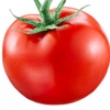 tomato123564