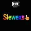 slewexs08