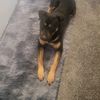 duran_5822