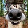 eric_thedoglover.1