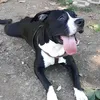 paolo.merra