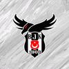 besiktasss27