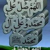 mohamedsaeed6846