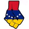 felip3199