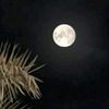 aaa90._4