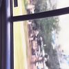 claudette_guadalupe