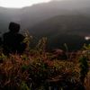 bangall0454