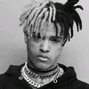 silvaxct_1