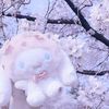 bebix_plus