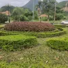 tiktok.muadatanh